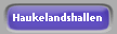 Haukelandshallen