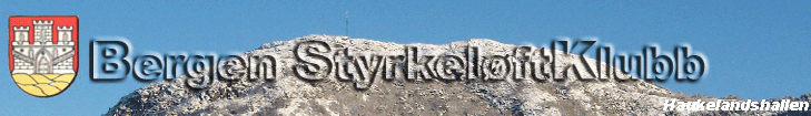 Haukelandshallen